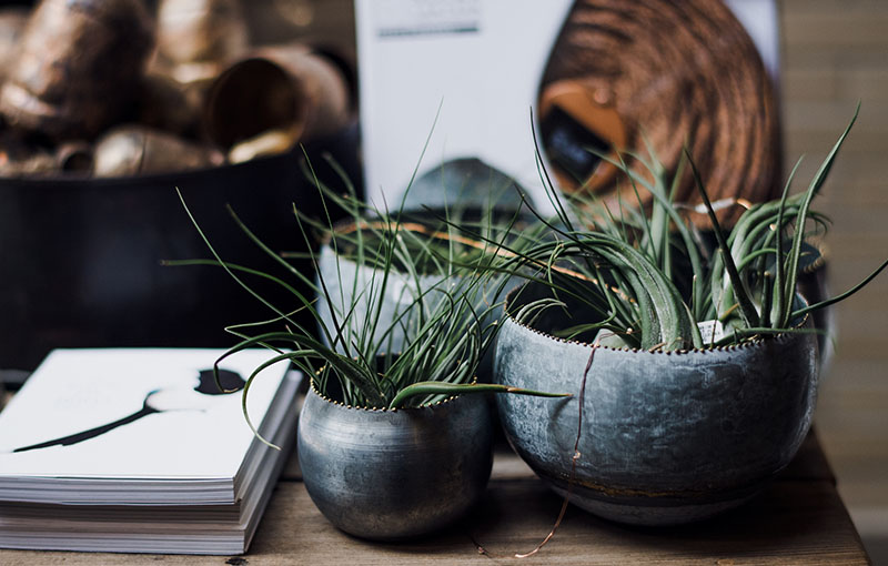 Mindful Community